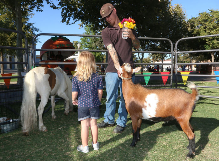 Petting zoo at Market Place